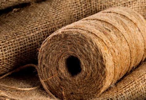  Jute:  Versatile Fiber for Packaging and Textile Innovation?