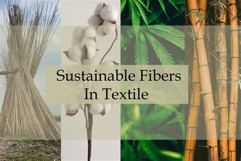  Hemp Fiber: การเสริมสร้างความยั่งยืนของอุตสาหกรรมสิ่งทอและการปฏิวัติของวัสดุชีวภาพ!