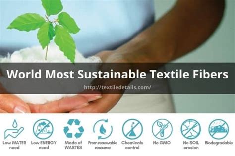 Okra Fiber:  The Next Sustainable Textile Sensation?